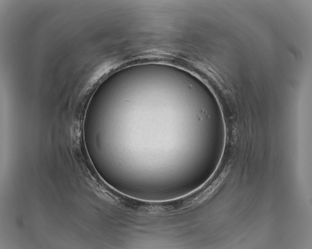 X0000111601355200907231227