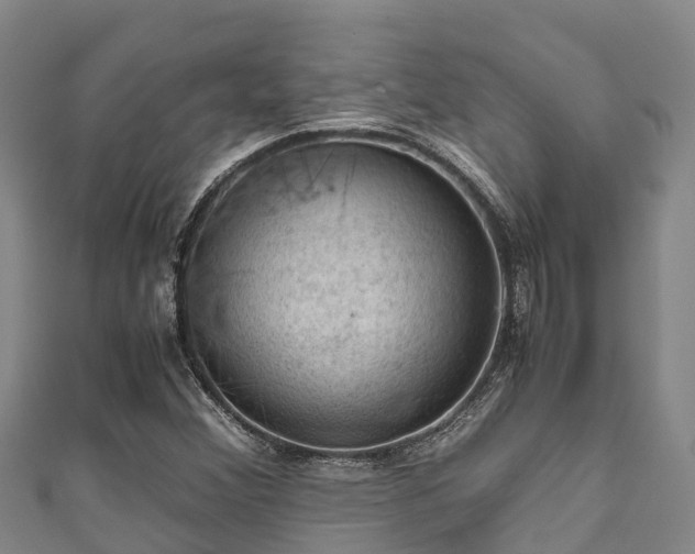 X0000111601356200907231227