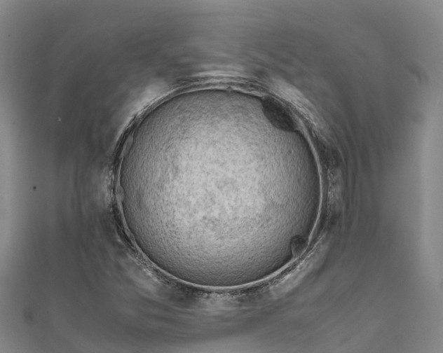 X0000111601357200907231227