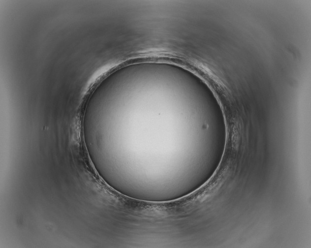 X0000111601358200907231227