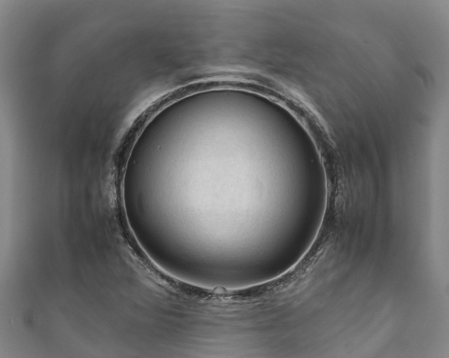 X0000111601360200907231227