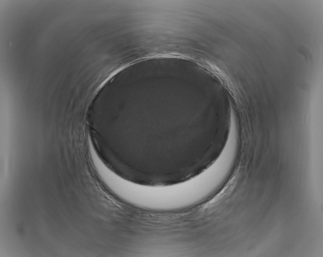 X0000111601361200907231227