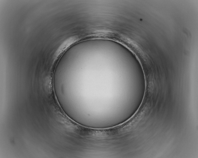 X0000111601362200907231227