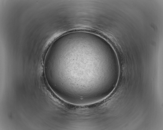 X0000111601363200907231227