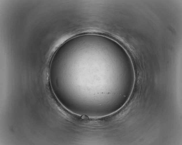 X0000111601367200907231227