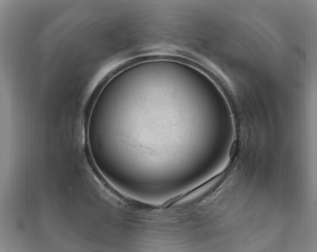 X0000111601368200907231227