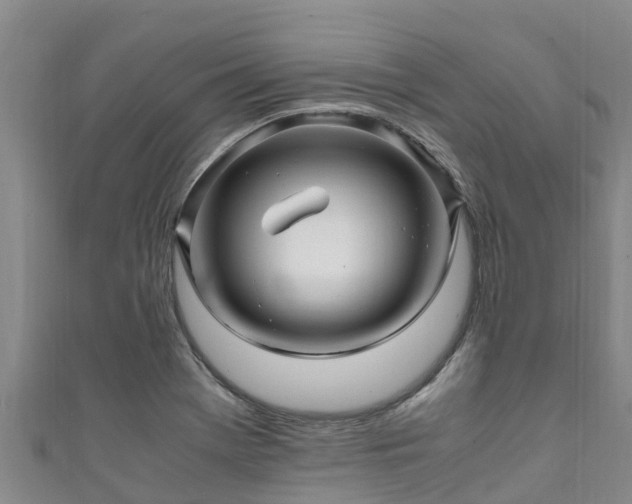 X0000111601369200907231227
