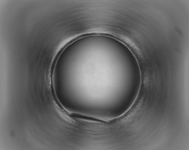 X0000111601372200907231226