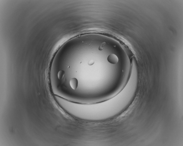 X0000111601373200907231226