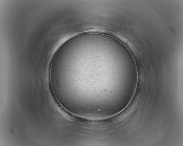 X0000111601375200907231226