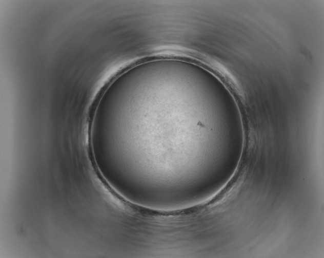 X0000111601376200907231226