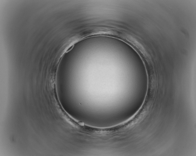 X0000111601377200907231226