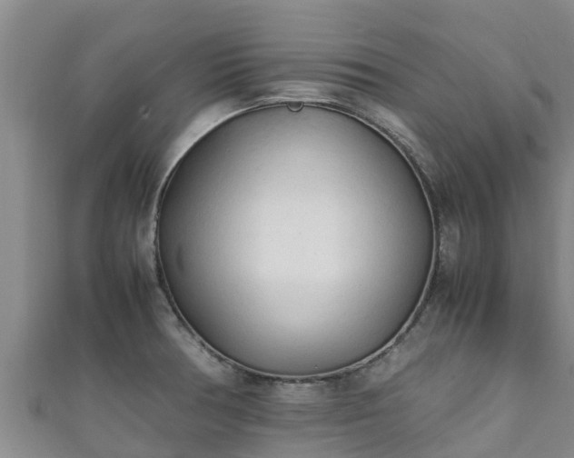 X0000111601378200907231226