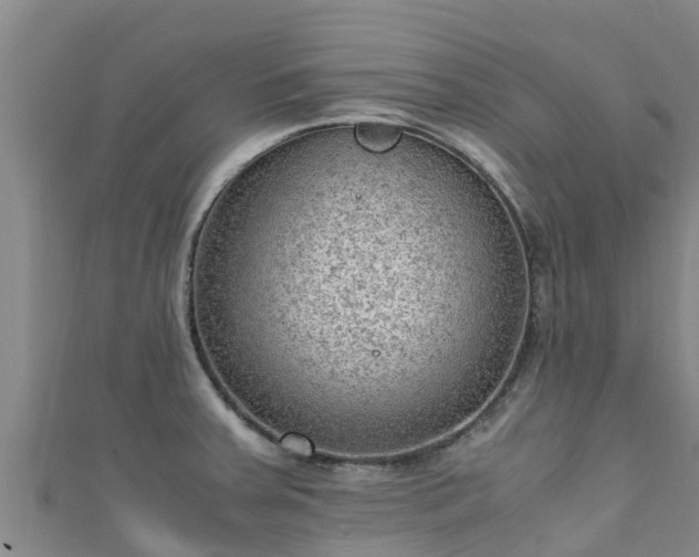 X0000111601379200907231226