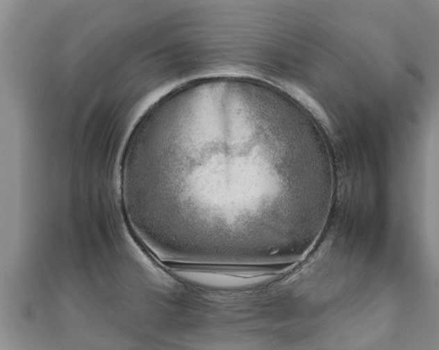 X0000111601380200907231226