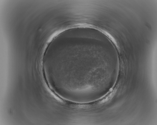 X0000111601381200907231226