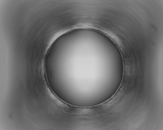 X0000111601382200907231226