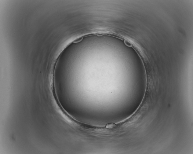 X0000111601383200907231226