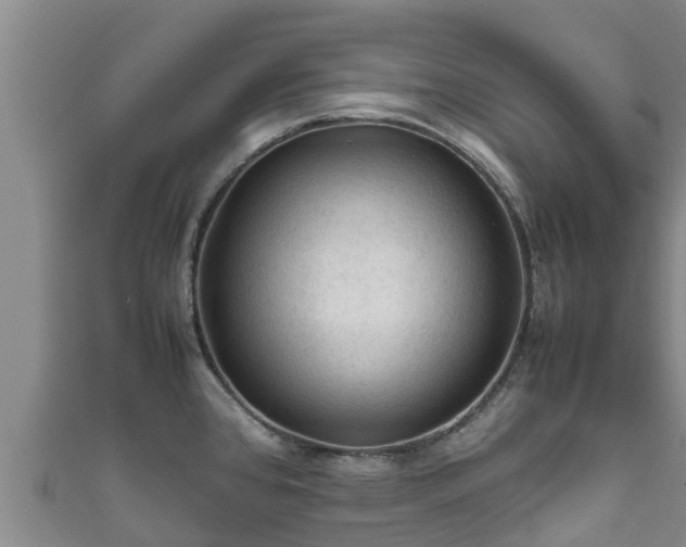 X0000111601384200907231226
