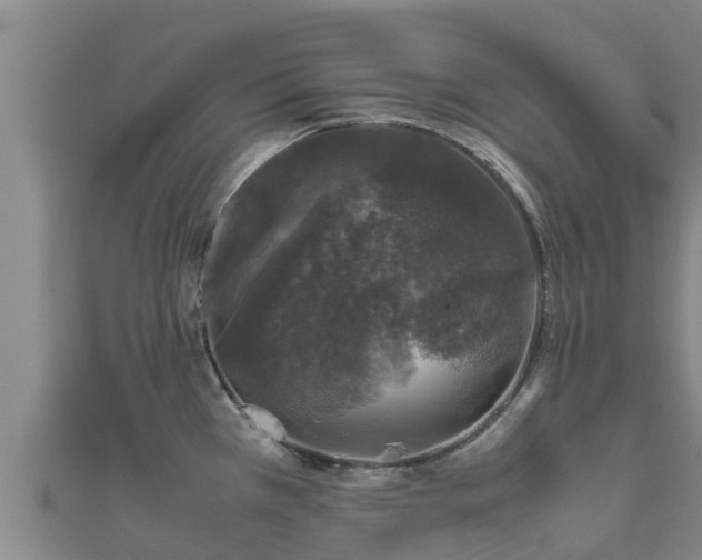 X0000111601385200907231226