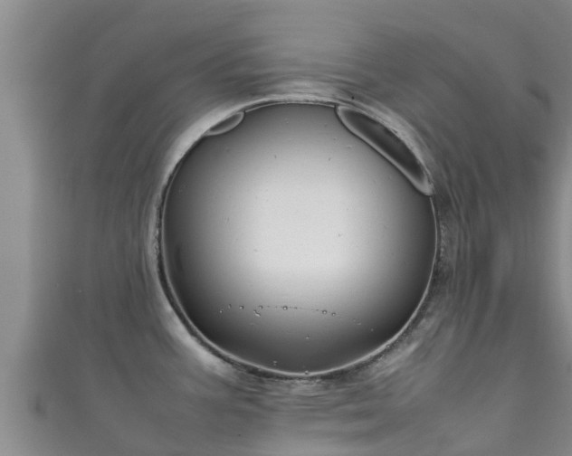 X0000111601387200907231226