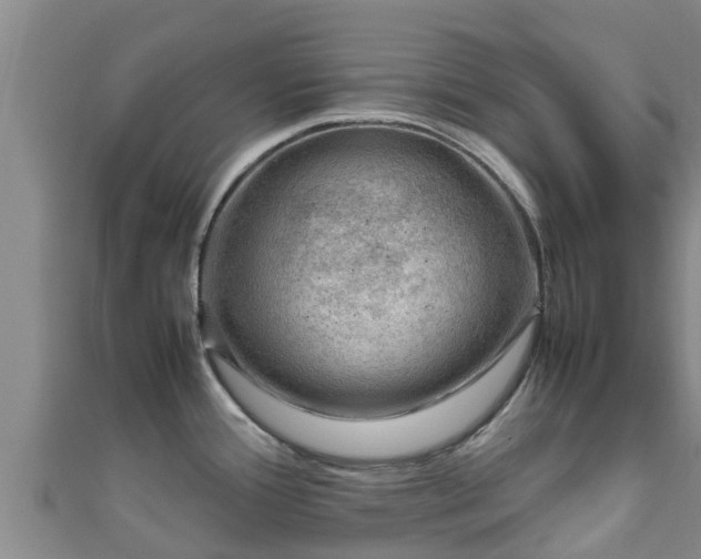 X0000111601388200907231226