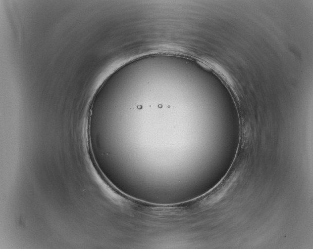 X0000111601391200907231226