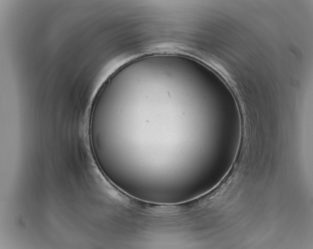 X0000111601392200907231226