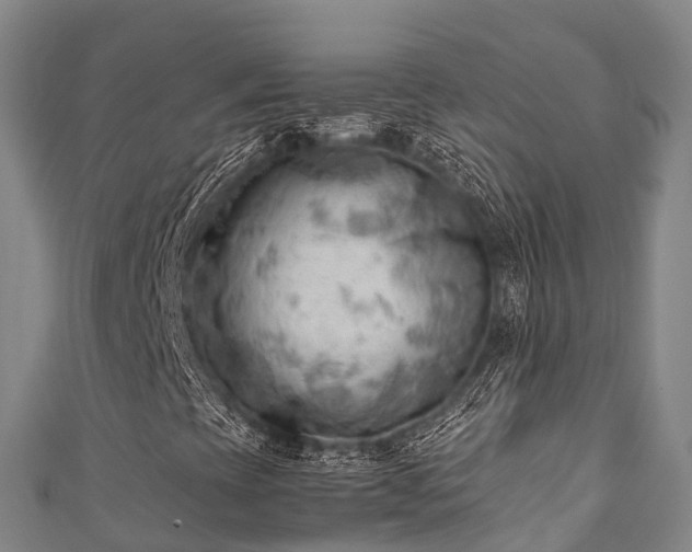 X0000111601393200907231225