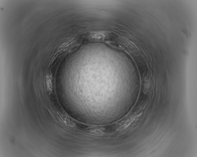 X0000111601394200907231225