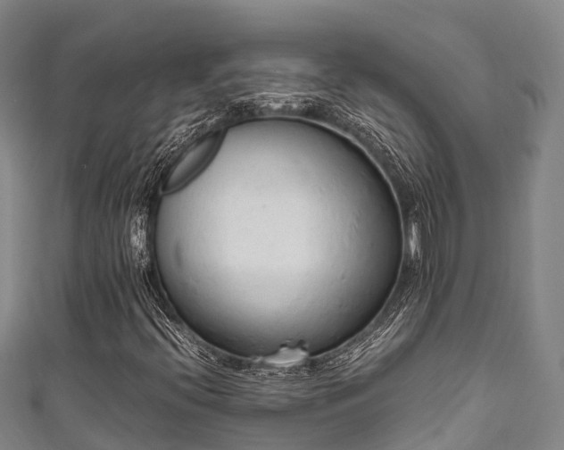 X0000111601396200907231225