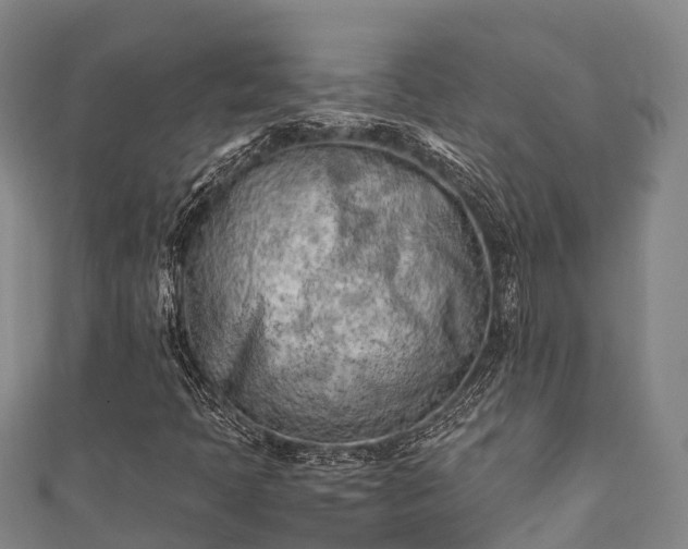 X0000111601397200907231225