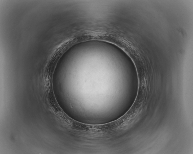 X0000111601398200907231225