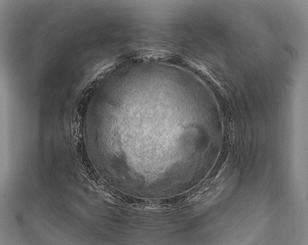 X0000111601399200907231225