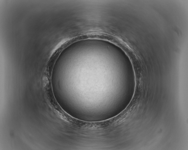 X0000111601400200907231225