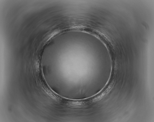 X0000111601401200907231225