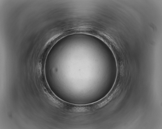 X0000111601402200907231225
