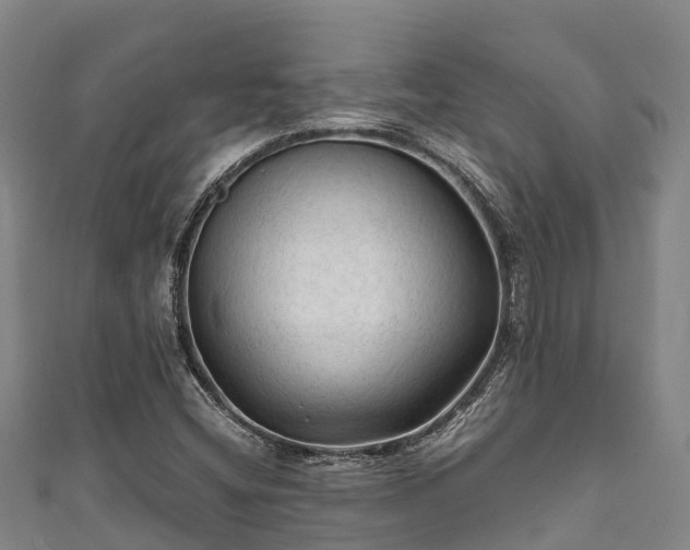 X0000111601404200907231225