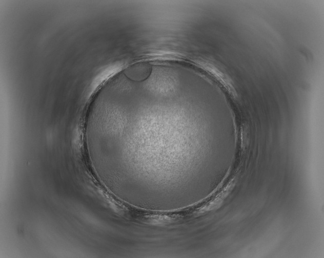 X0000111601405200907231225
