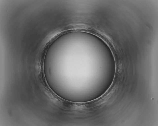 X0000111601407200907231225