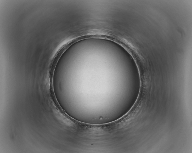 X0000111601408200907231225
