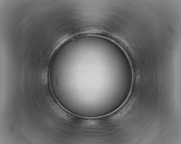 X0000111601409200907231225