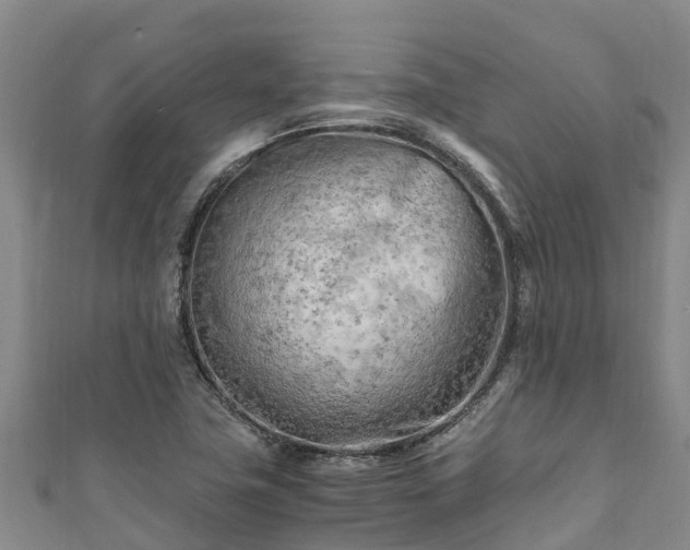 X0000111601411200907231226