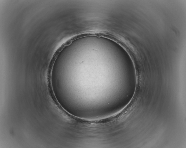 X0000111601412200907231226