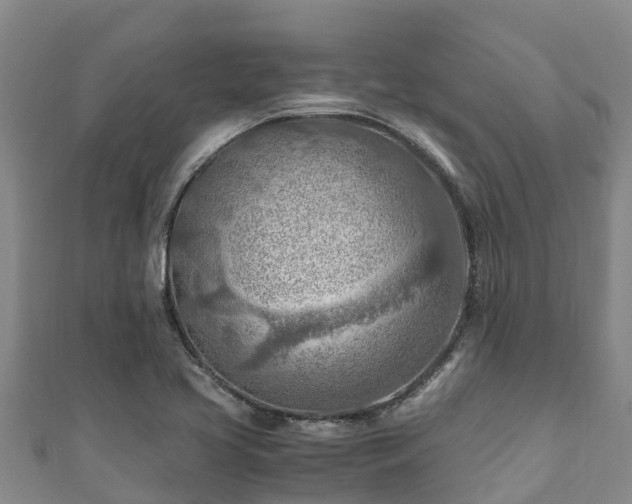 X0000111601413200907231226