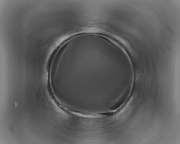 X0000111601414200907231226