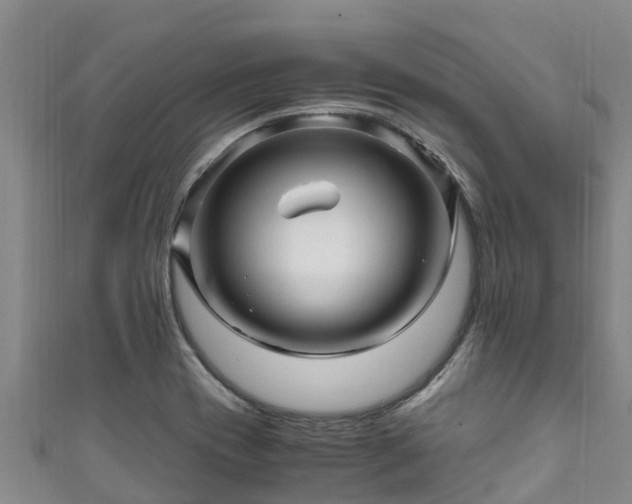 X0000111601417200907231226