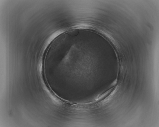 X0000111601418200907231226