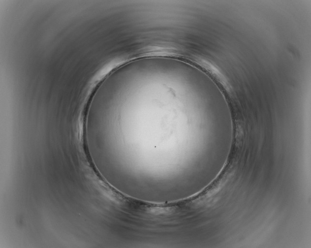 X0000111601419200907231226