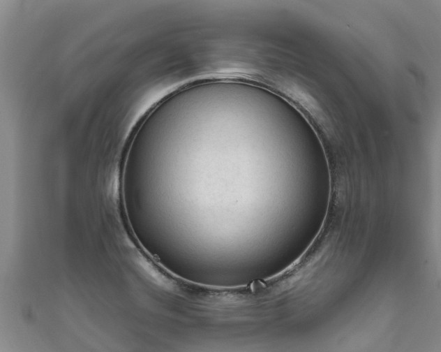 X0000111601420200907231226